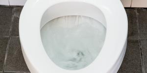 A toilet bowl that may be leaking 200 gallons every day