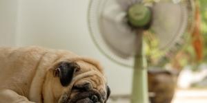 Is Your Air Conditioning Too Small