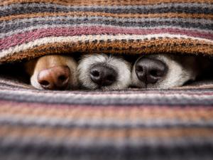 How to Avoid Costly Winter Home Repair Bills in Oklahoma blog header image
