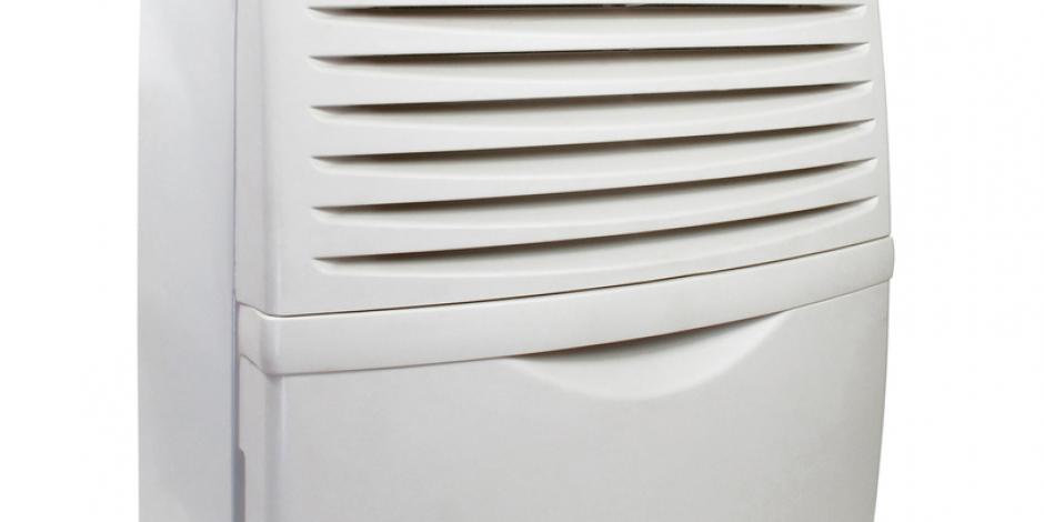 Portable vs. Whole-Home Dehumidifiers Portable vs. Whole-Home Dehumidifiers, Pippin Brothers, Lawton, OK