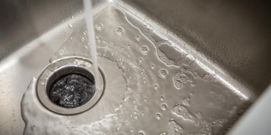 clean garbage disposal